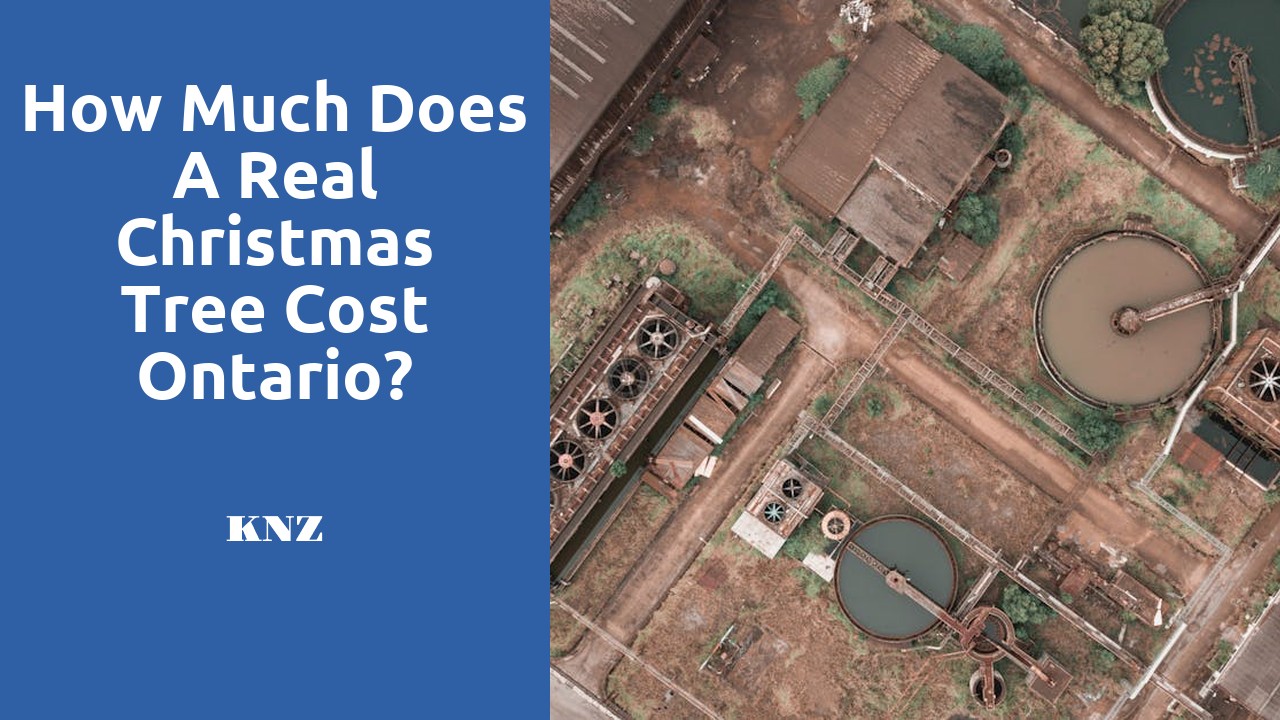 How much does a real Christmas tree cost Ontario?